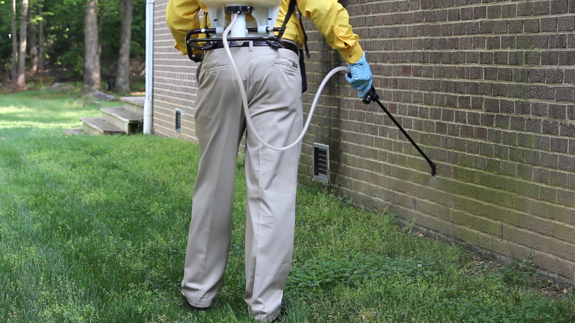 When it comes to pest control in the Parramatta area and all the major cities around the world, you can quickly come across a lot of reputable and well-known firms.