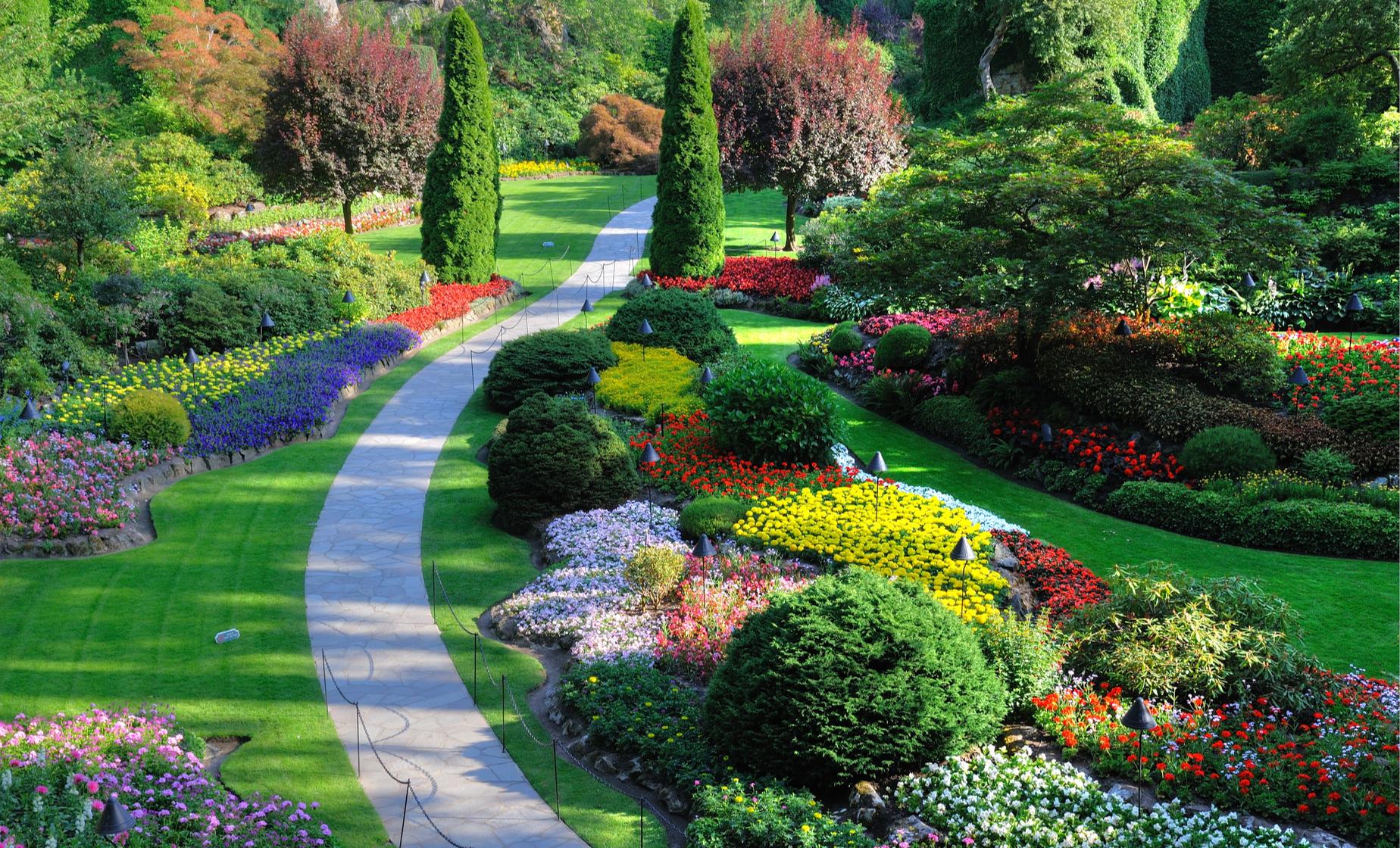 Landscaper Riverview