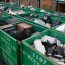 e waste disposal