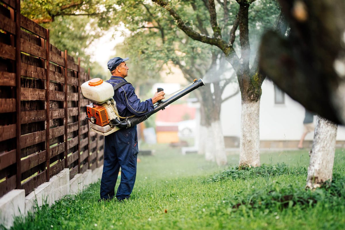 How to Find the Best Pest Control Near Me: Tips and Recommendations
