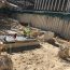 Piling Randwick