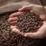 buy coffee beans online