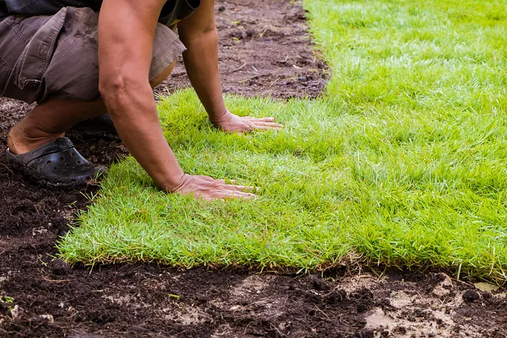 Essential Tips For Successful Turf Laying In The Blue Mountains