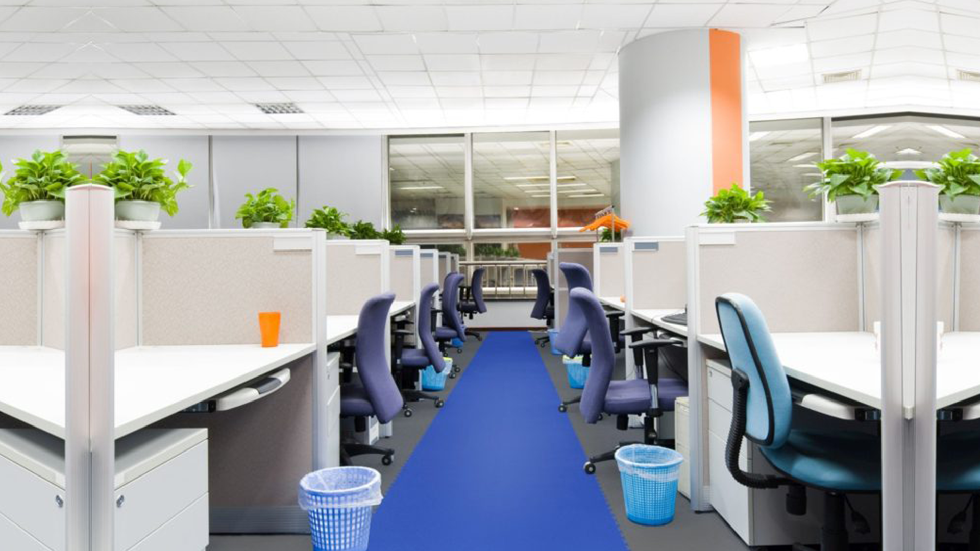serviced office in Mascot