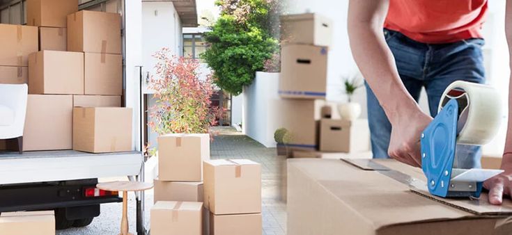 Removalists Northern Beaches – Making Every Move Smooth, Safe, and Stress-Free