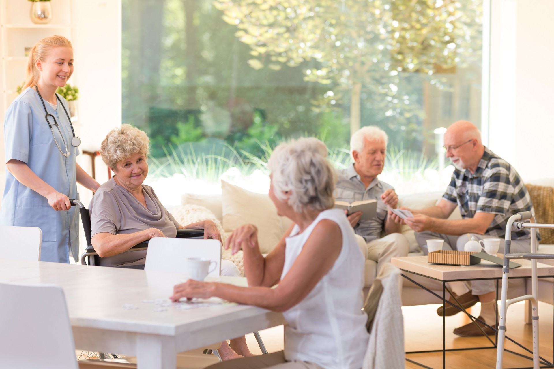 disability support services shellharbour
